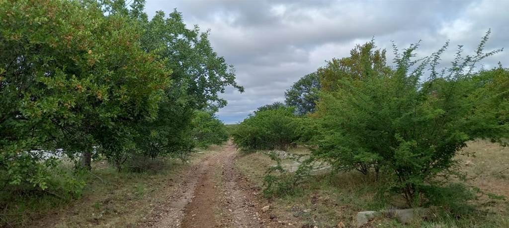21 ha Land available in Musina photo number 3