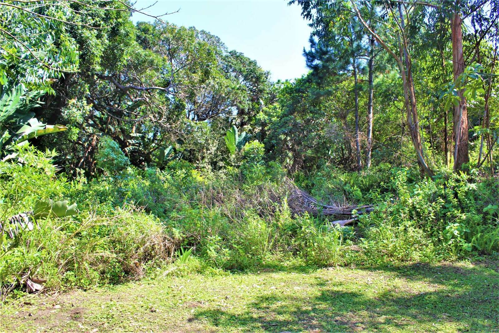 1030 m² Land available in Leisure Bay photo number 7