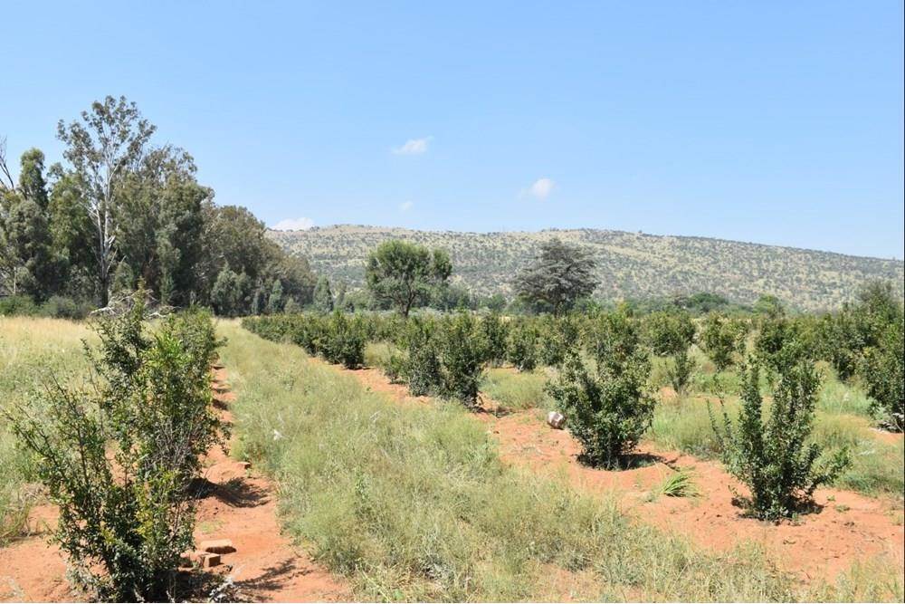 4 ha Land available in Hartbeespoort Dam photo number 3
