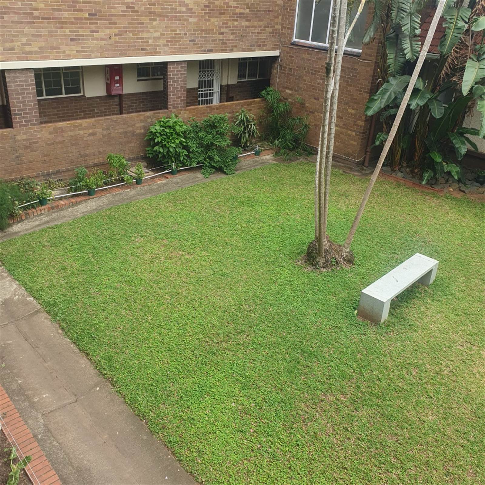 1 Bed Apartment in Musgrave photo number 10