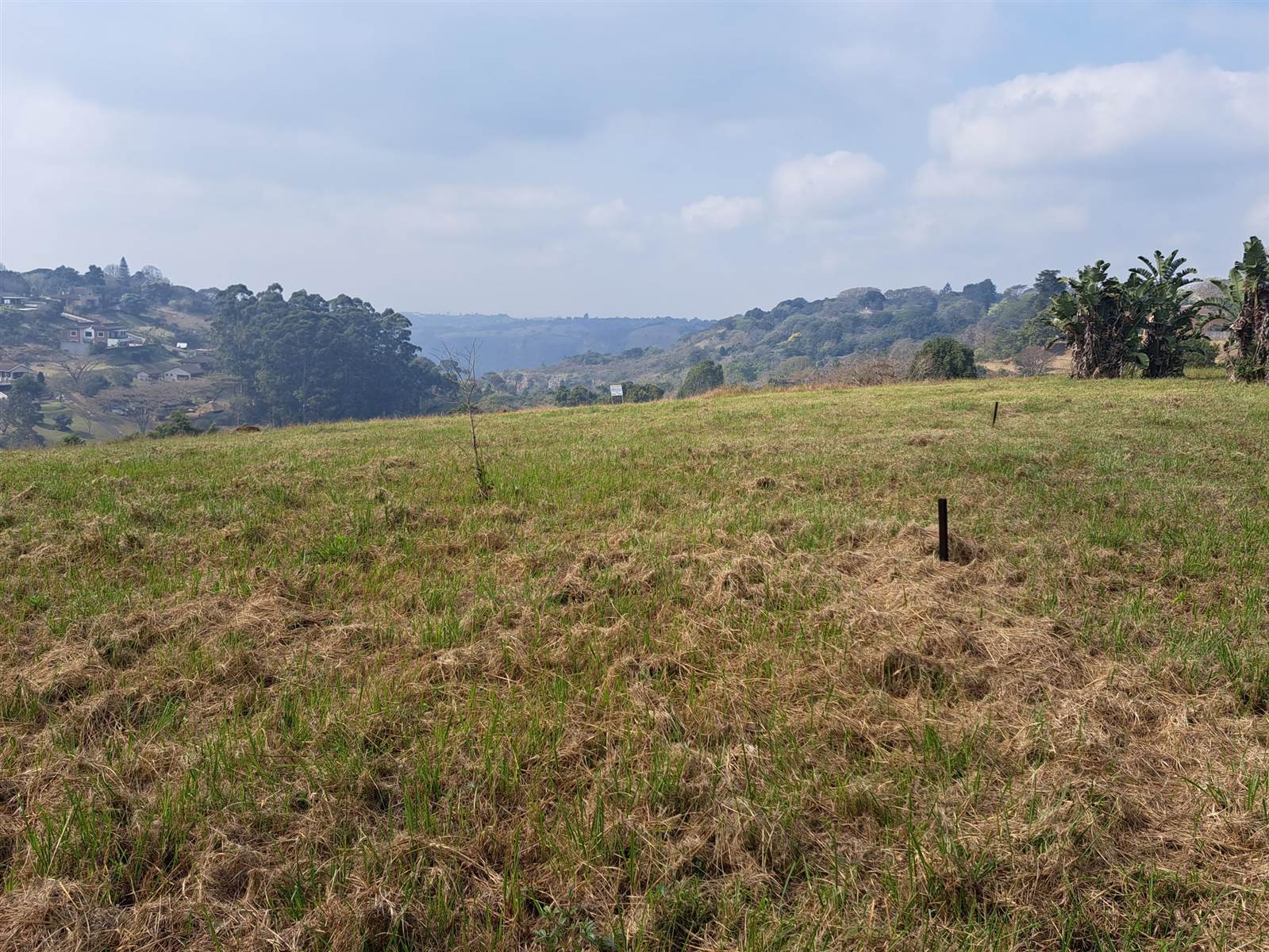 2468 m² Land available in Forest Hills photo number 1
