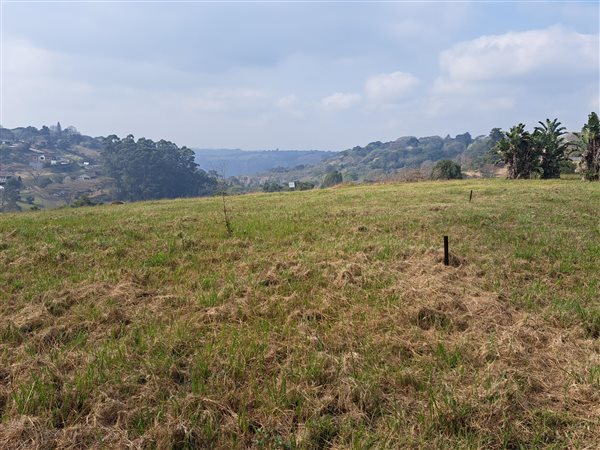 2468 m² Land available in Forest Hills