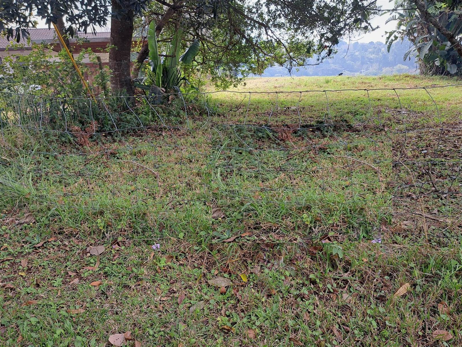 2468 m² Land available in Forest Hills photo number 6