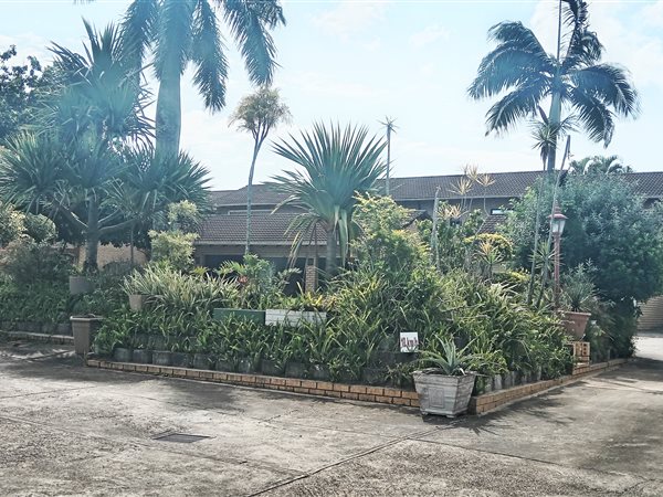 3 Bedroom Duplex 3 Bedroom Duplex