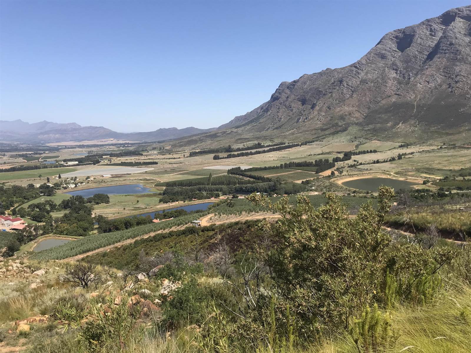 238.5 ha Farm in Tulbagh photo number 16