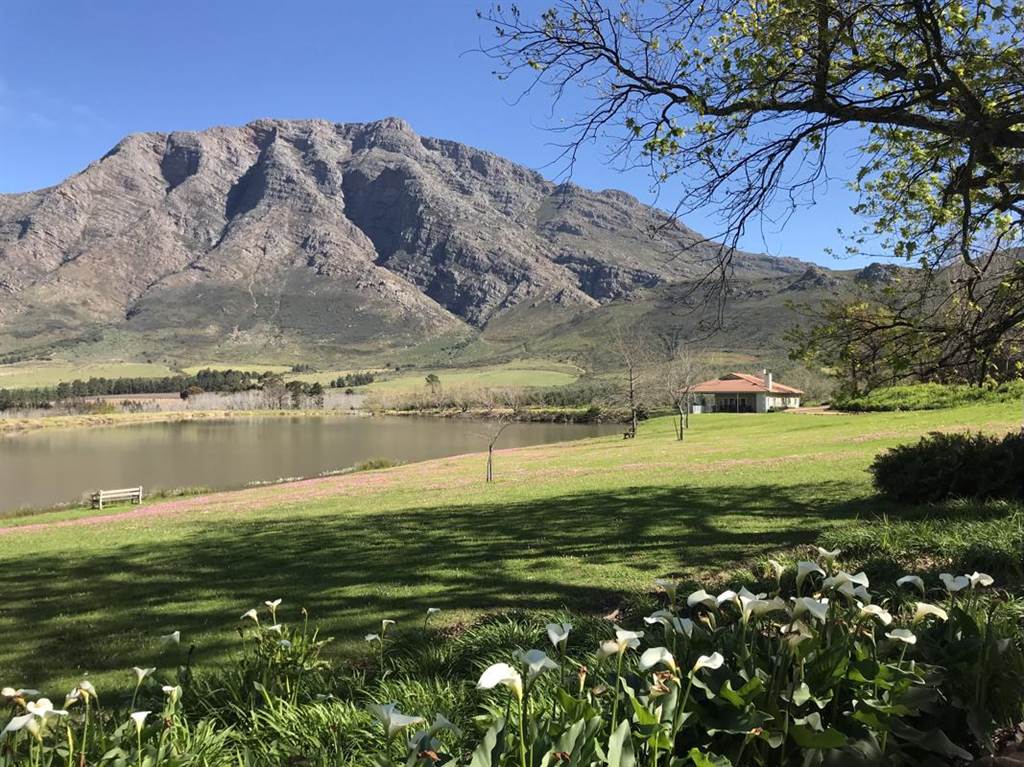 238.5 ha Farm in Tulbagh photo number 6