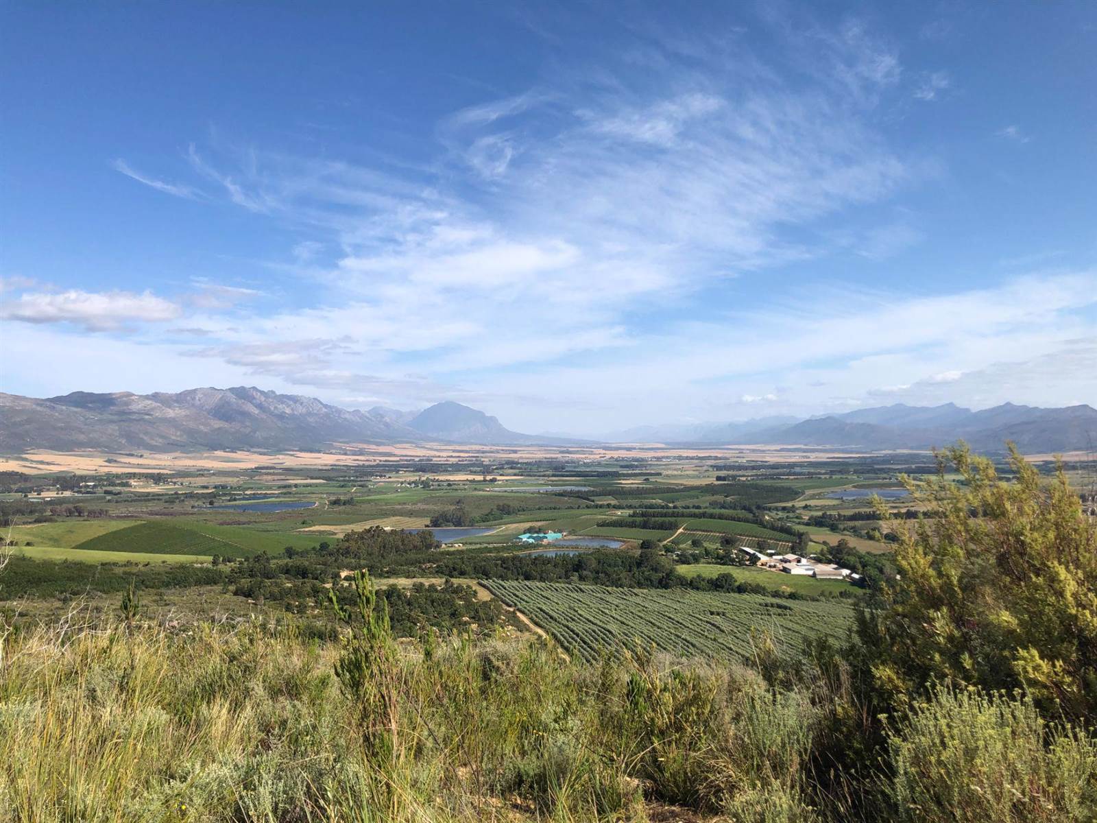 238.5 ha Farm in Tulbagh photo number 14