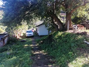 7 Bed House in Briardene