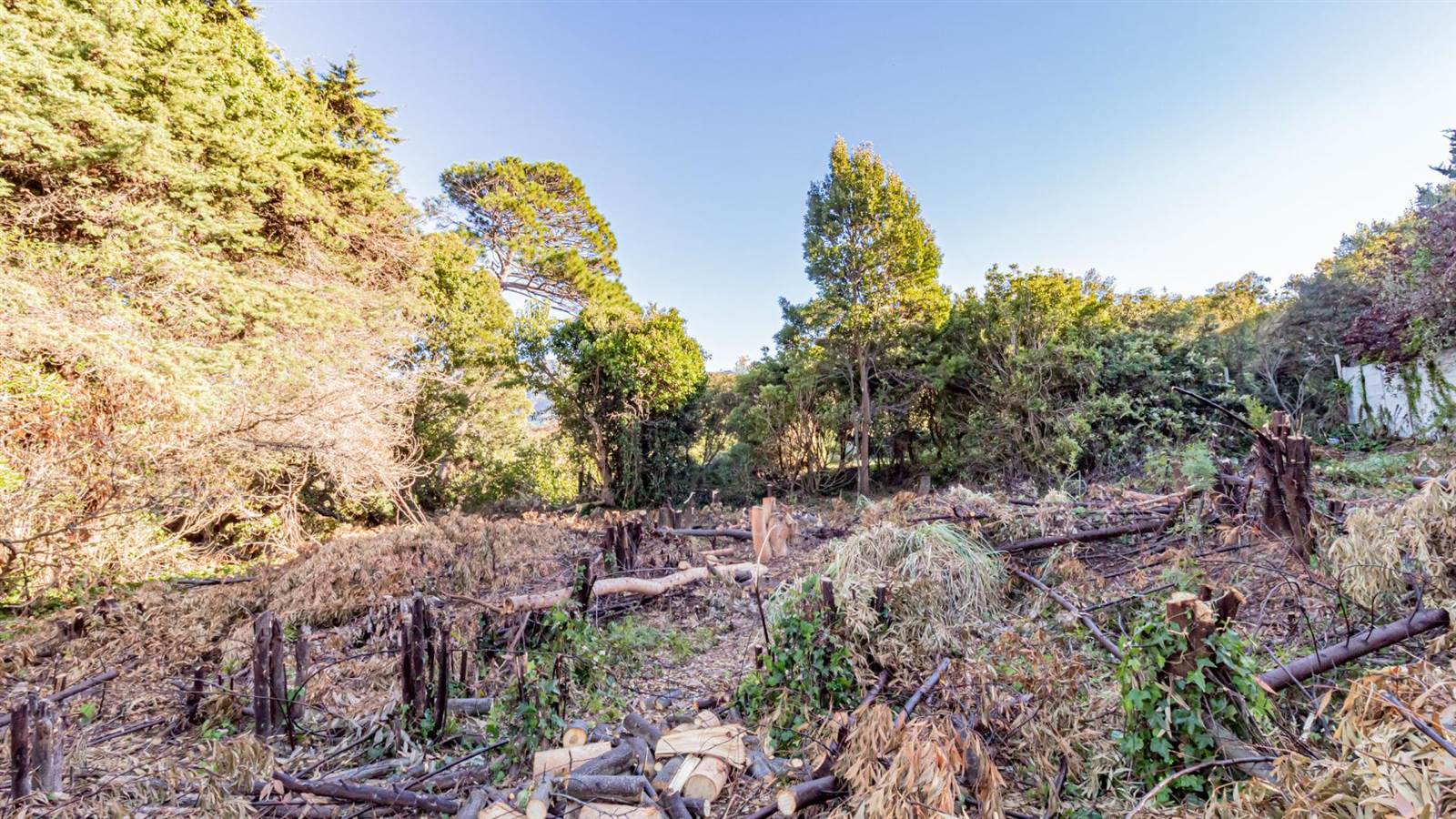3024 m² Land available in Constantia photo number 13