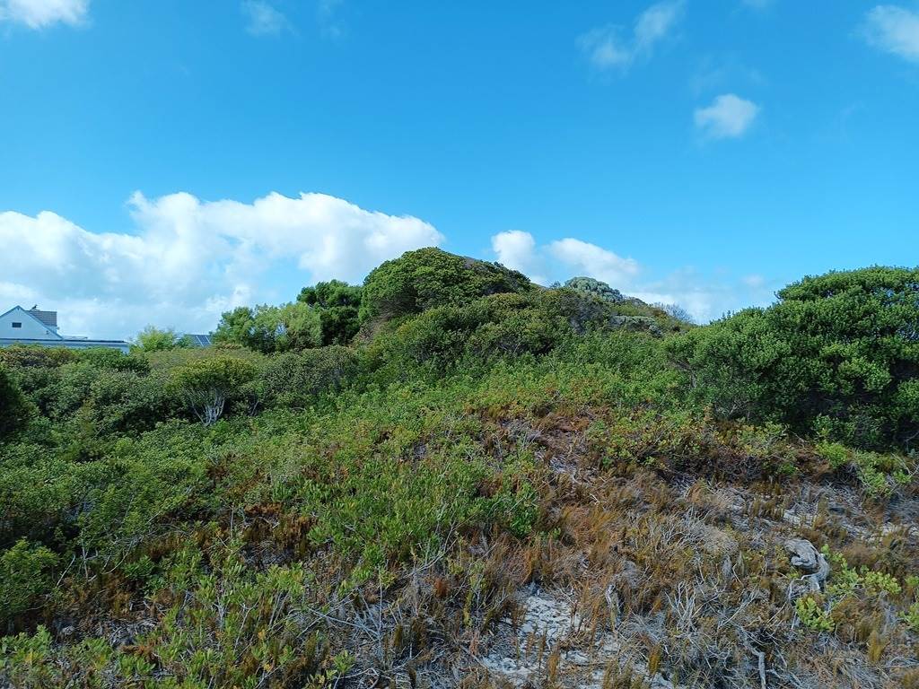 748 m² Land available in Suiderstrand photo number 3