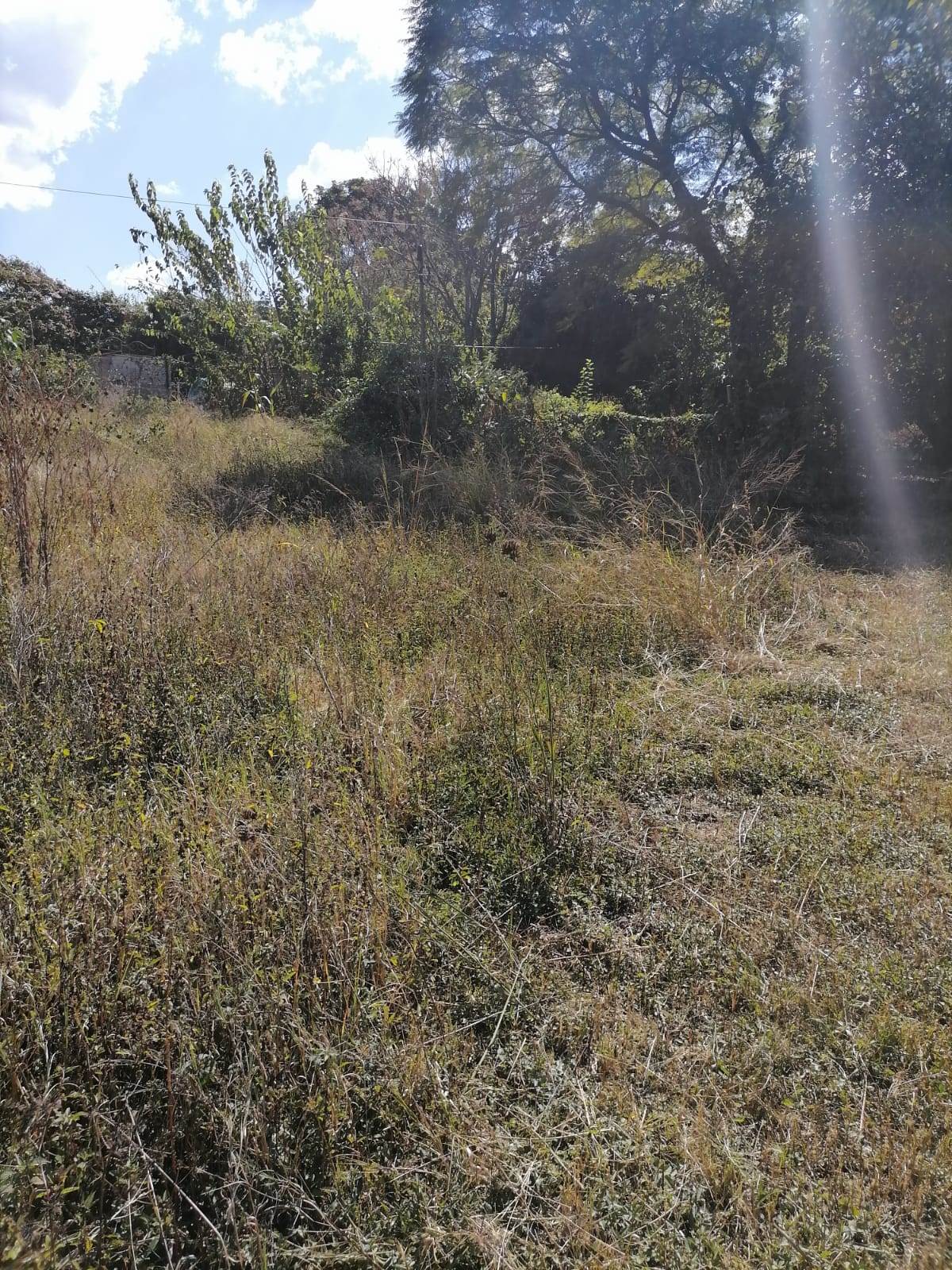 1400 m² Land available in Louis Trichardt photo number 4