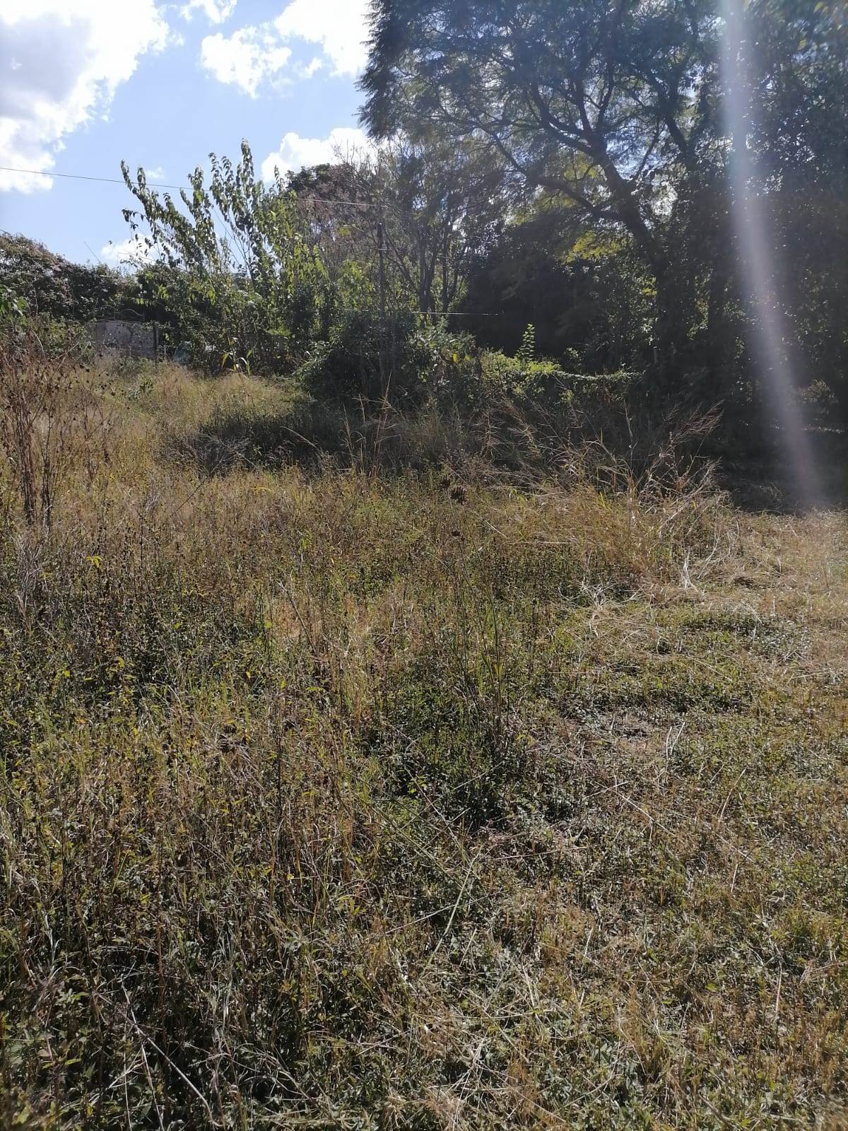 1400 m² Land available in Louis Trichardt photo number 7