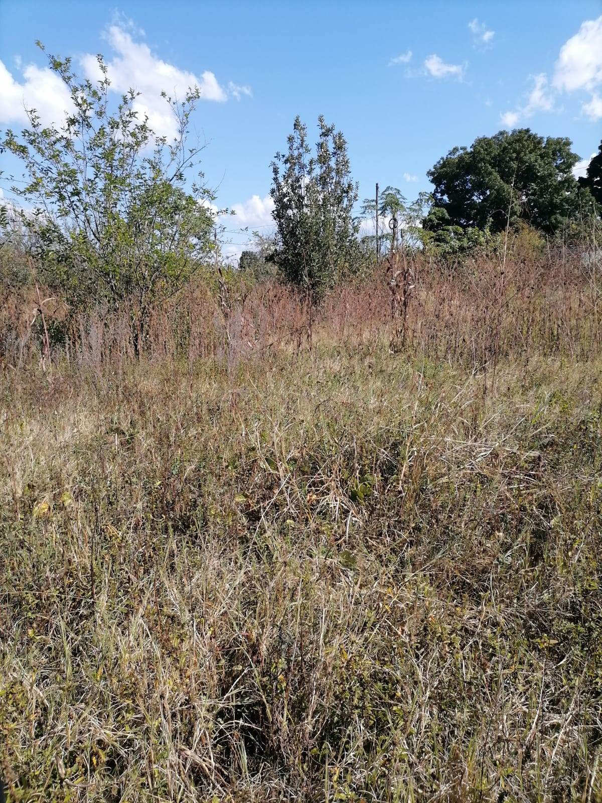 1400 m² Land available in Louis Trichardt photo number 8