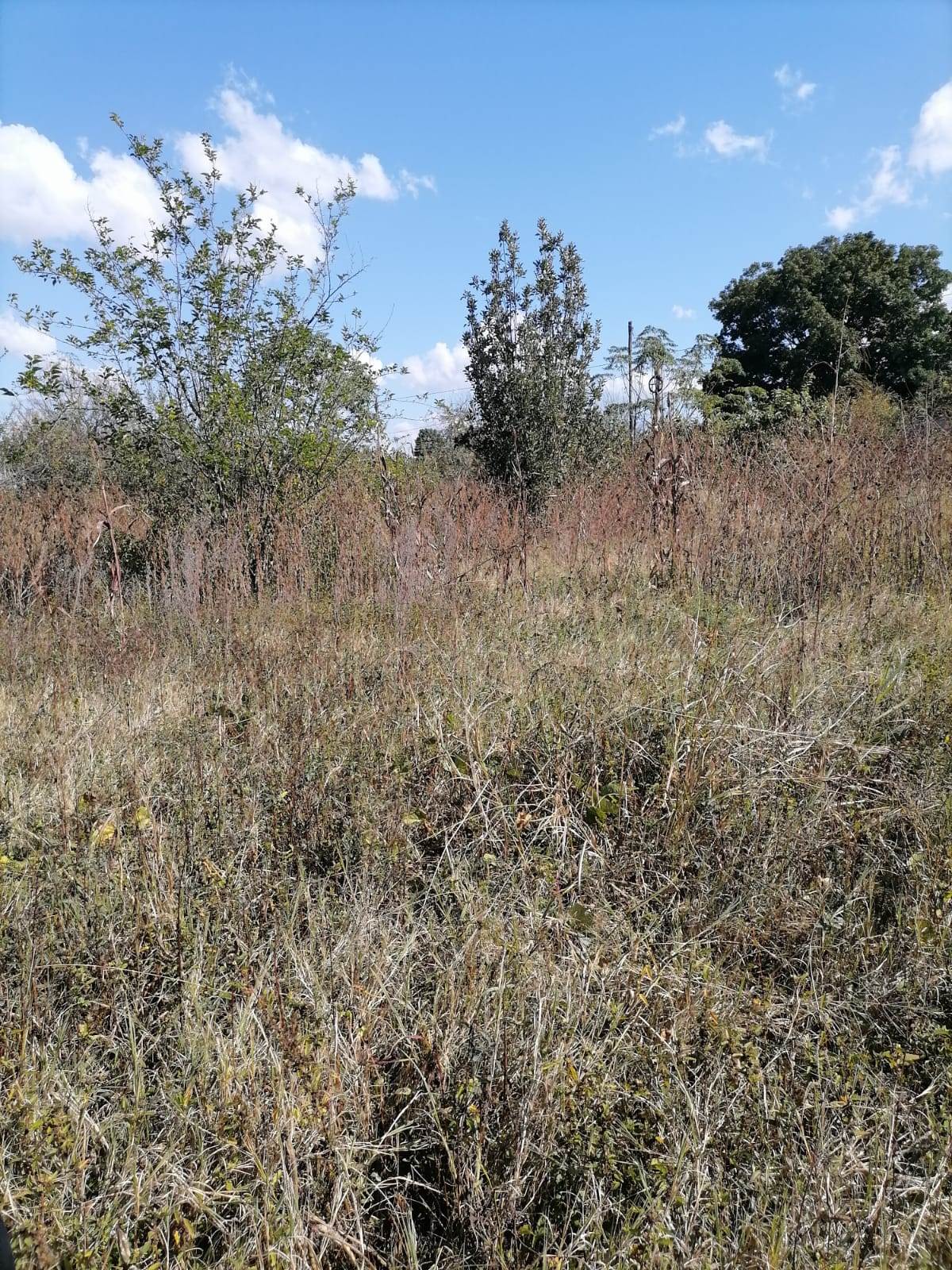 1400 m² Land available in Louis Trichardt photo number 9
