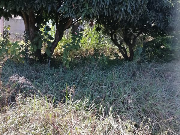 1400 m² Land available in Louis Trichardt