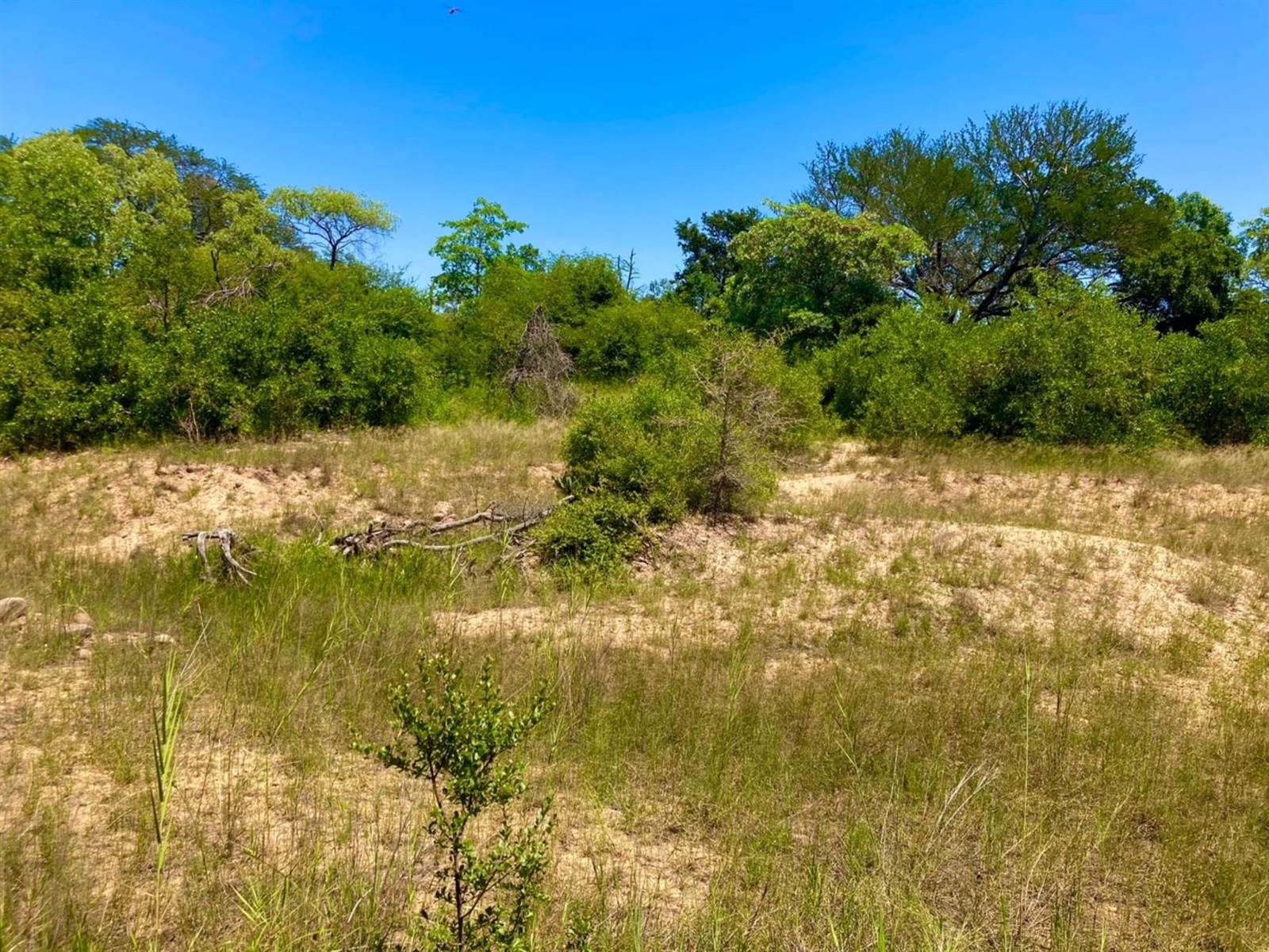 9561 m² Land available in Moditlo Nature Reserve photo number 10