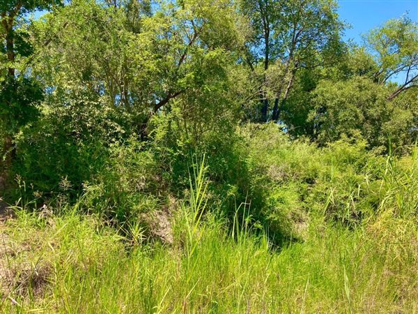 9561 m² Land available in Moditlo Nature Reserve