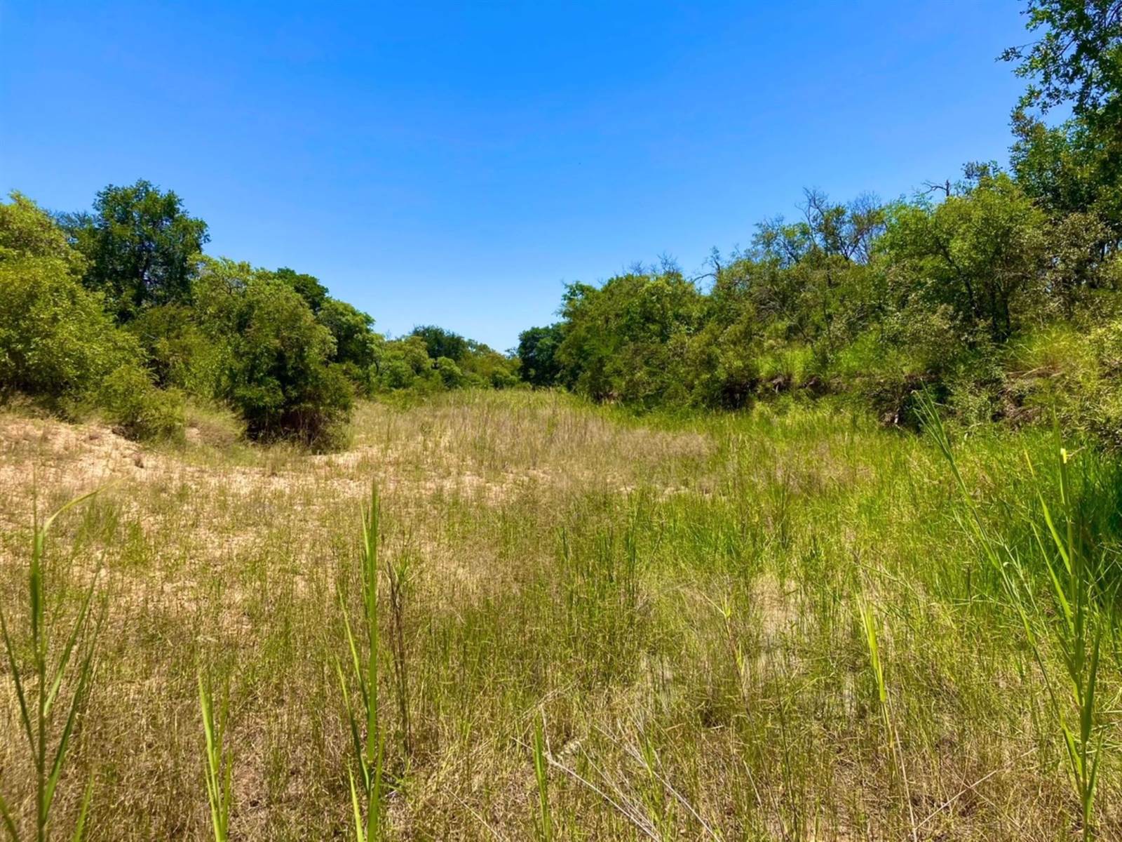 9561 m² Land available in Moditlo Nature Reserve photo number 12