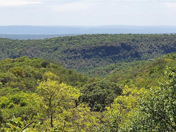 1.3 ha Land 1.3 ha Land