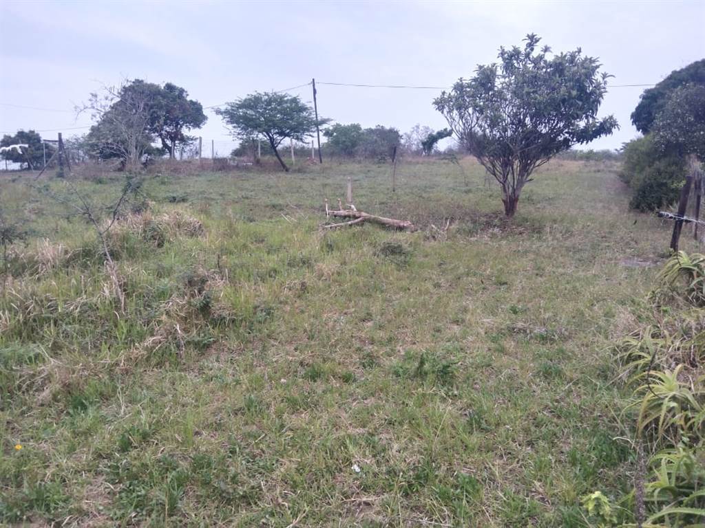 1031 m² Land available in Mandini photo number 3
