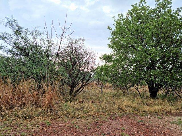 947 m² Land available in Seasons Lifestyle Estate photo number 4