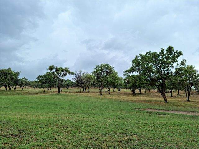 947 m² Land available in Seasons Lifestyle Estate photo number 11