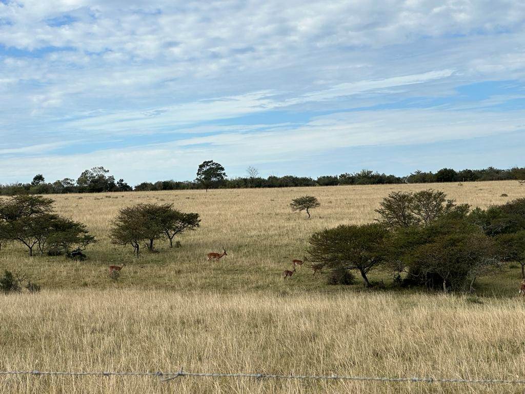 822 ha Farm in Grahamstown Central photo number 9
