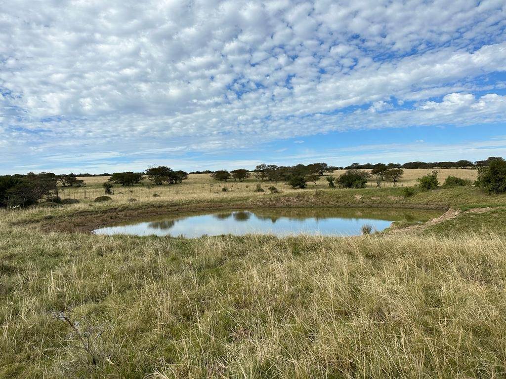 822 ha Farm in Grahamstown Central photo number 4
