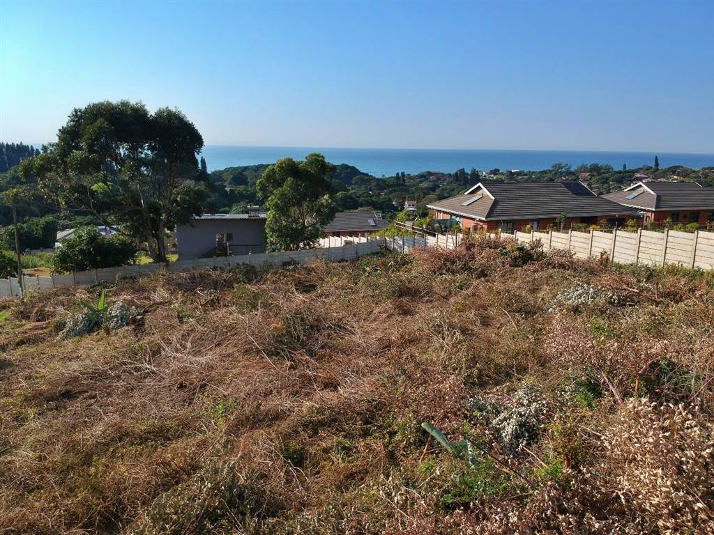1471 m² Land available in Saiccor photo number 4