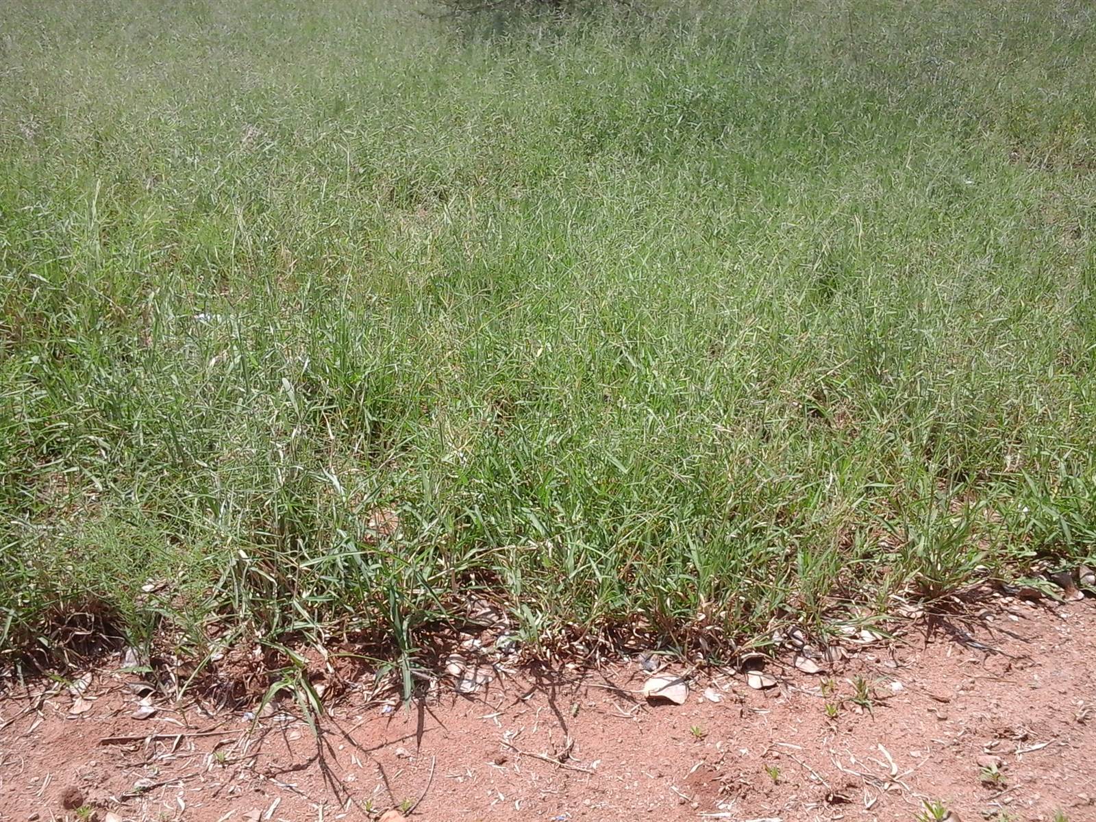 601 m² Land available in Serala View photo number 5