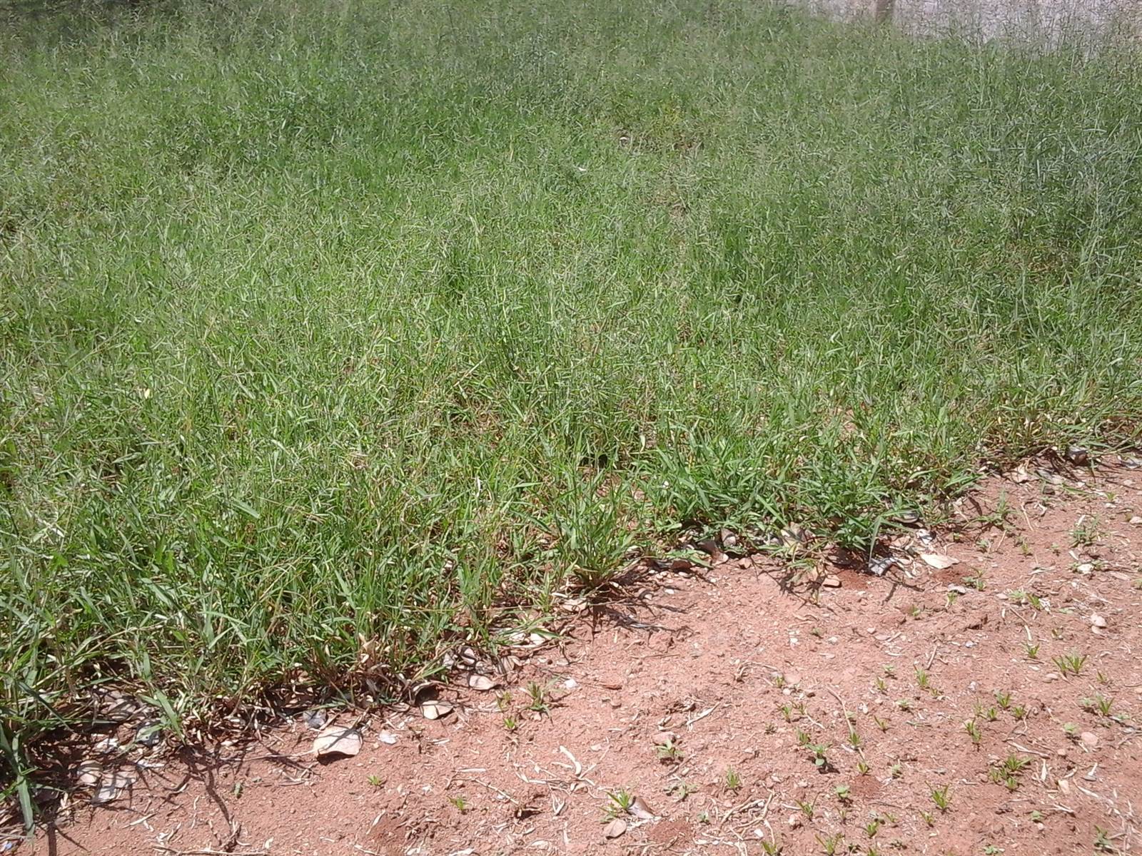 601 m² Land available in Serala View photo number 7
