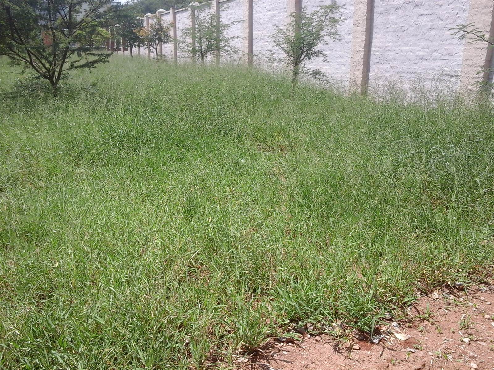 601 m² Land available in Serala View photo number 1