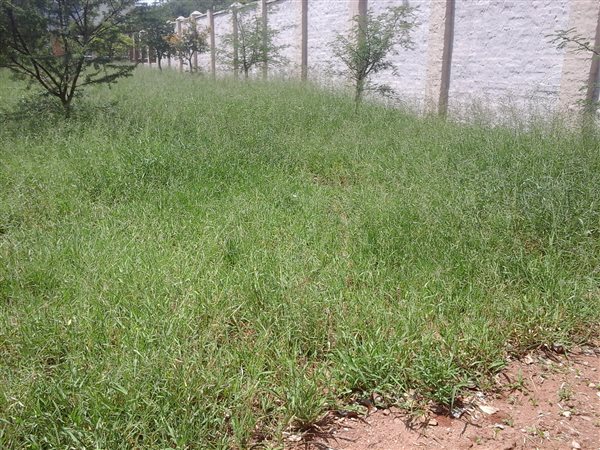 601 m² Land available in Serala View