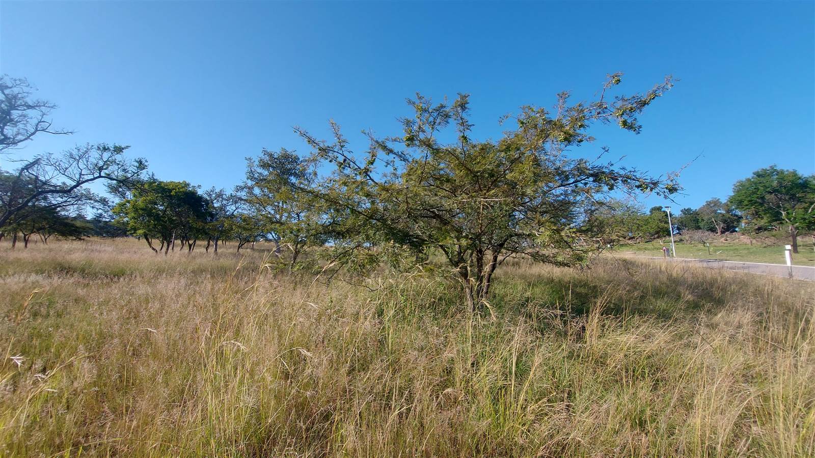 974 m² Land available in Sonheuwel photo number 2
