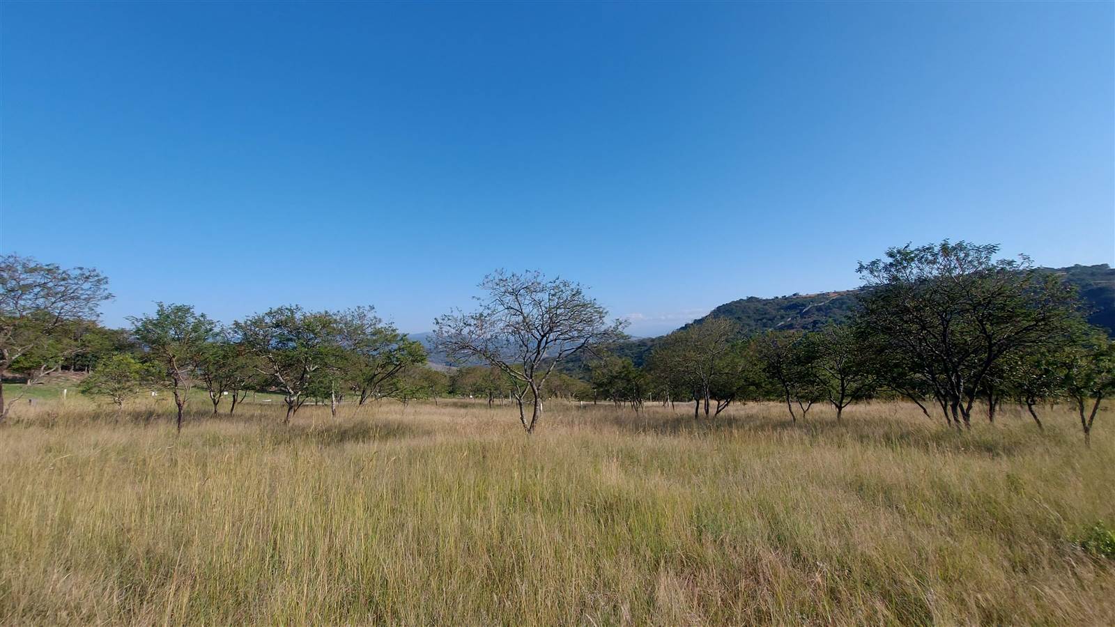 974 m² Land available in Sonheuwel photo number 5