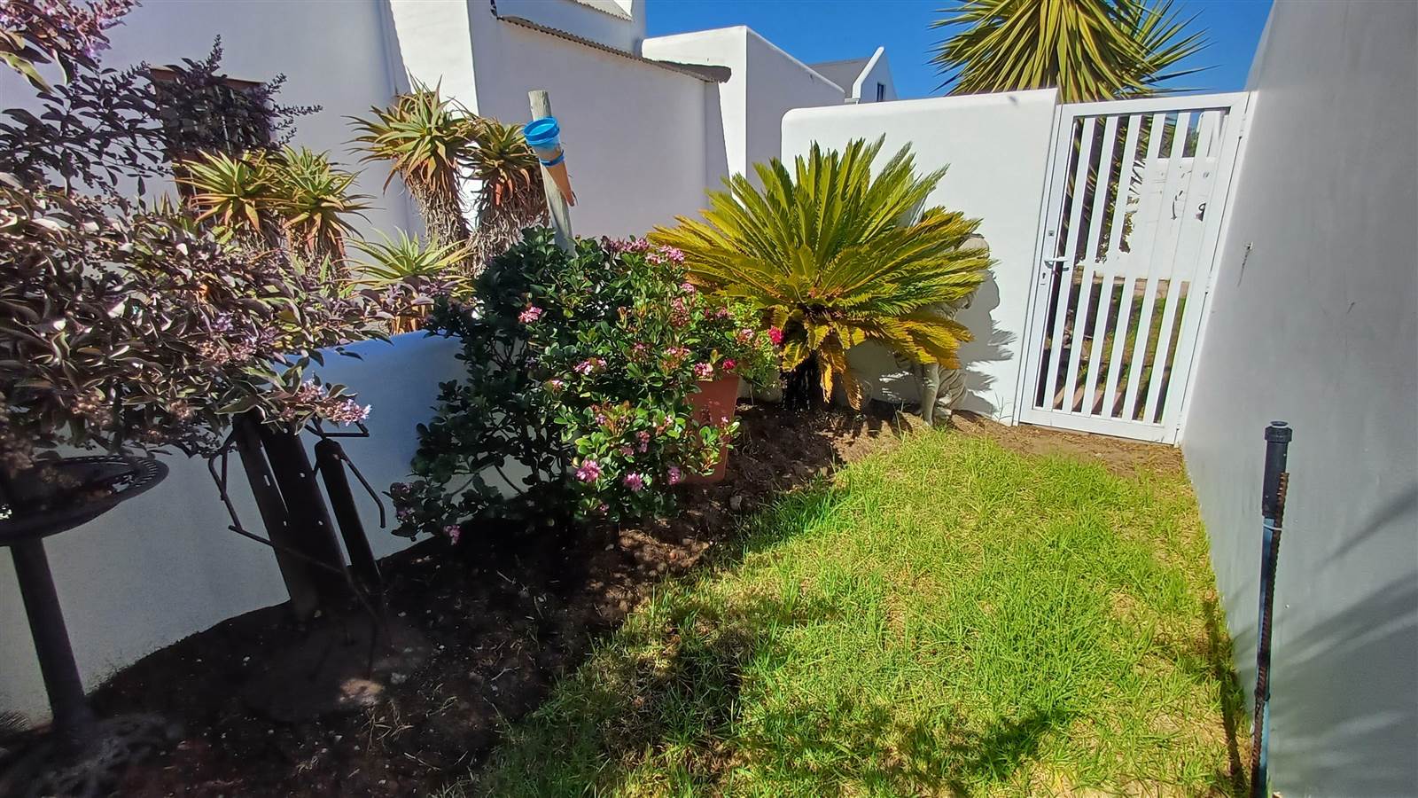 2 Bed House in Paternoster photo number 26