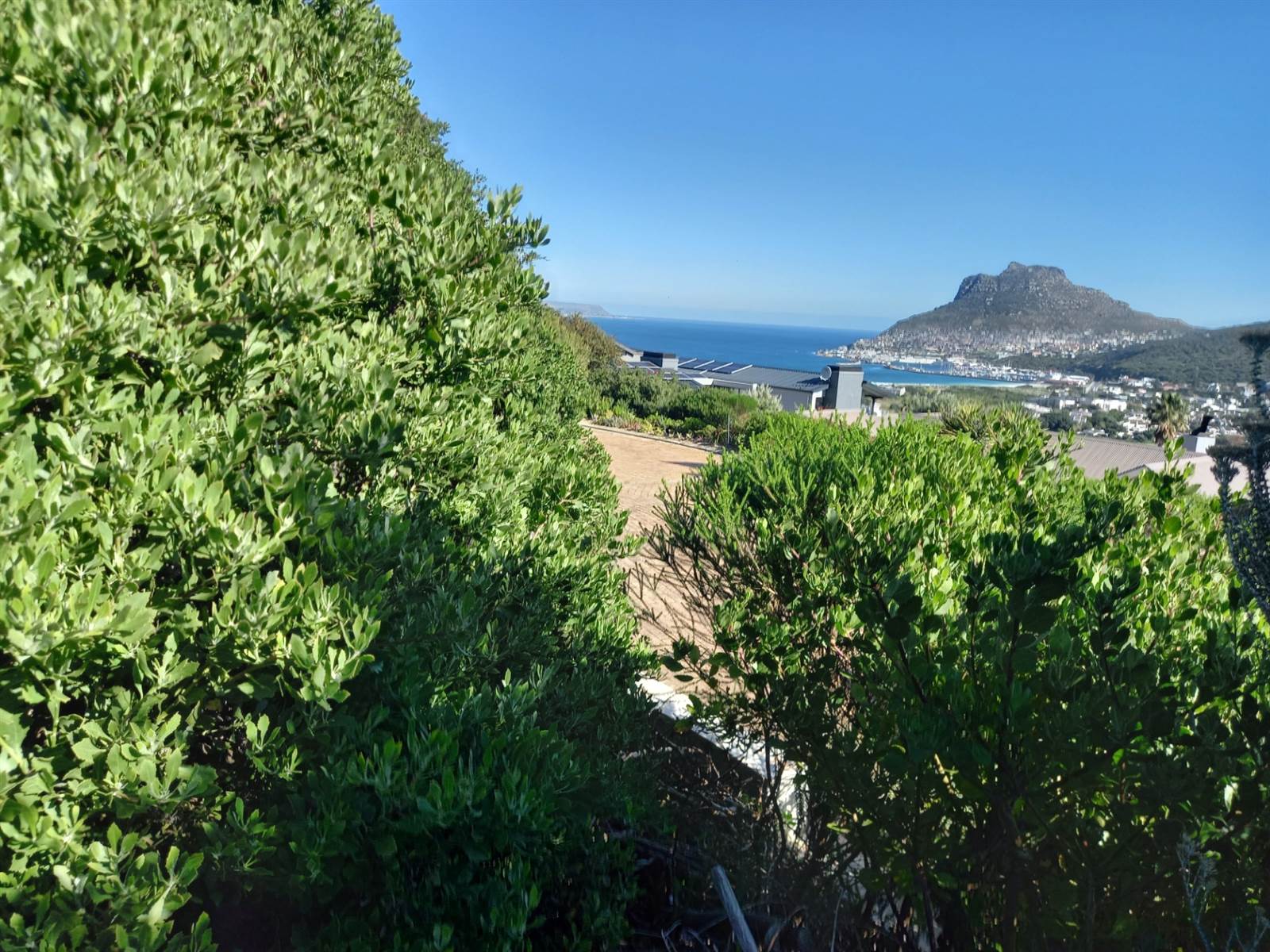 1362 m² Land available in Hout Bay and surrounds photo number 5
