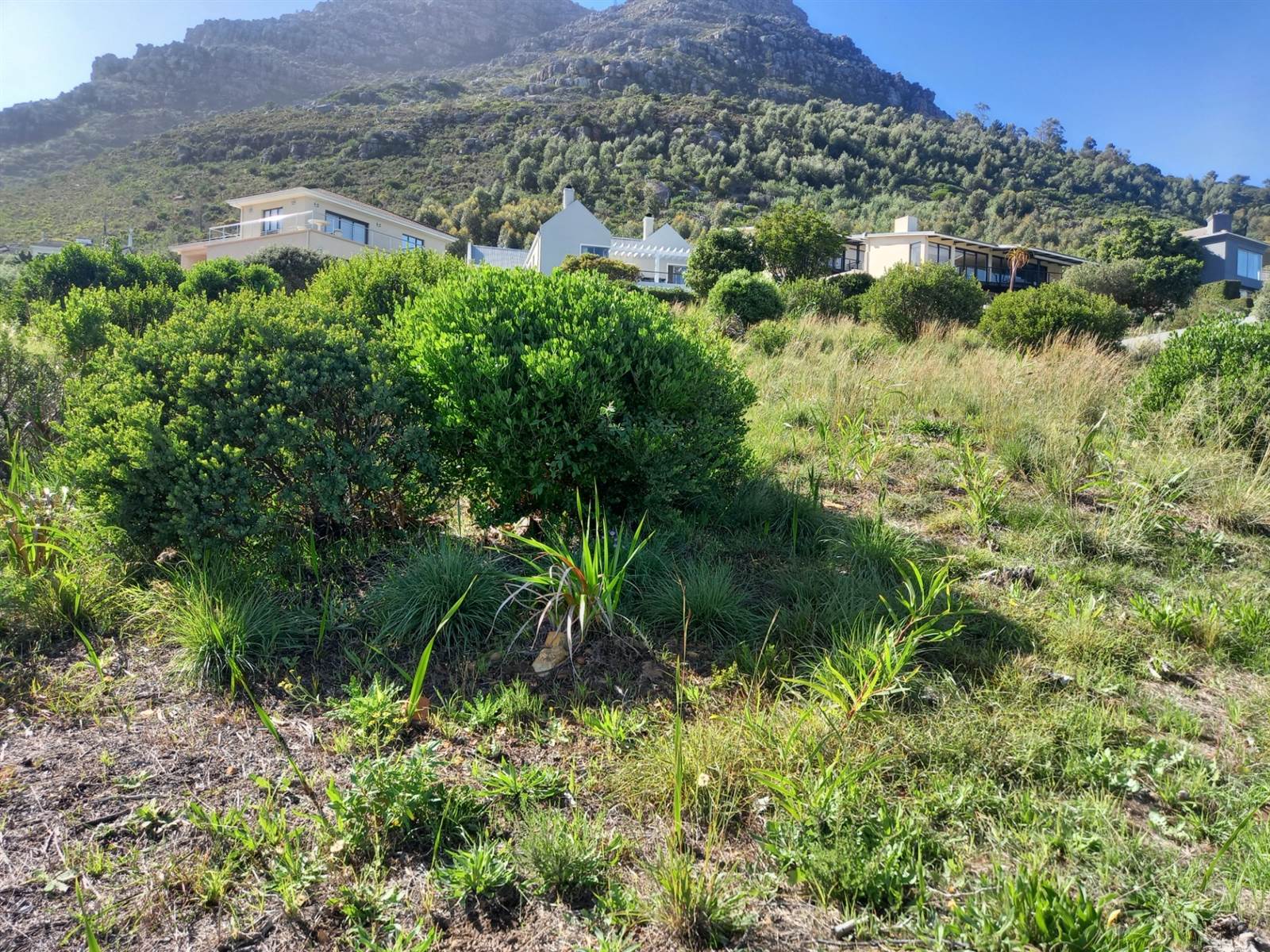 1362 m² Land available in Hout Bay and surrounds photo number 2