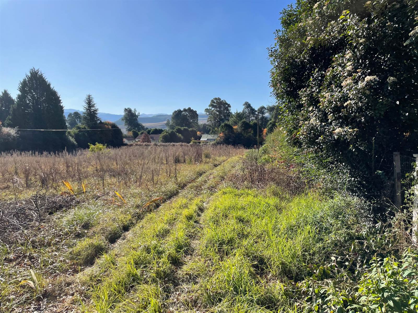 2929 m² Land available in Underberg photo number 6