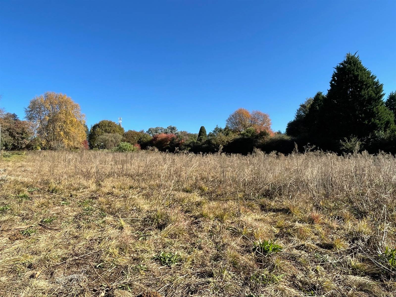 2929 m² Land available in Underberg photo number 5