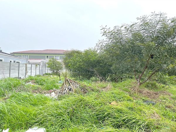 364 m² Land