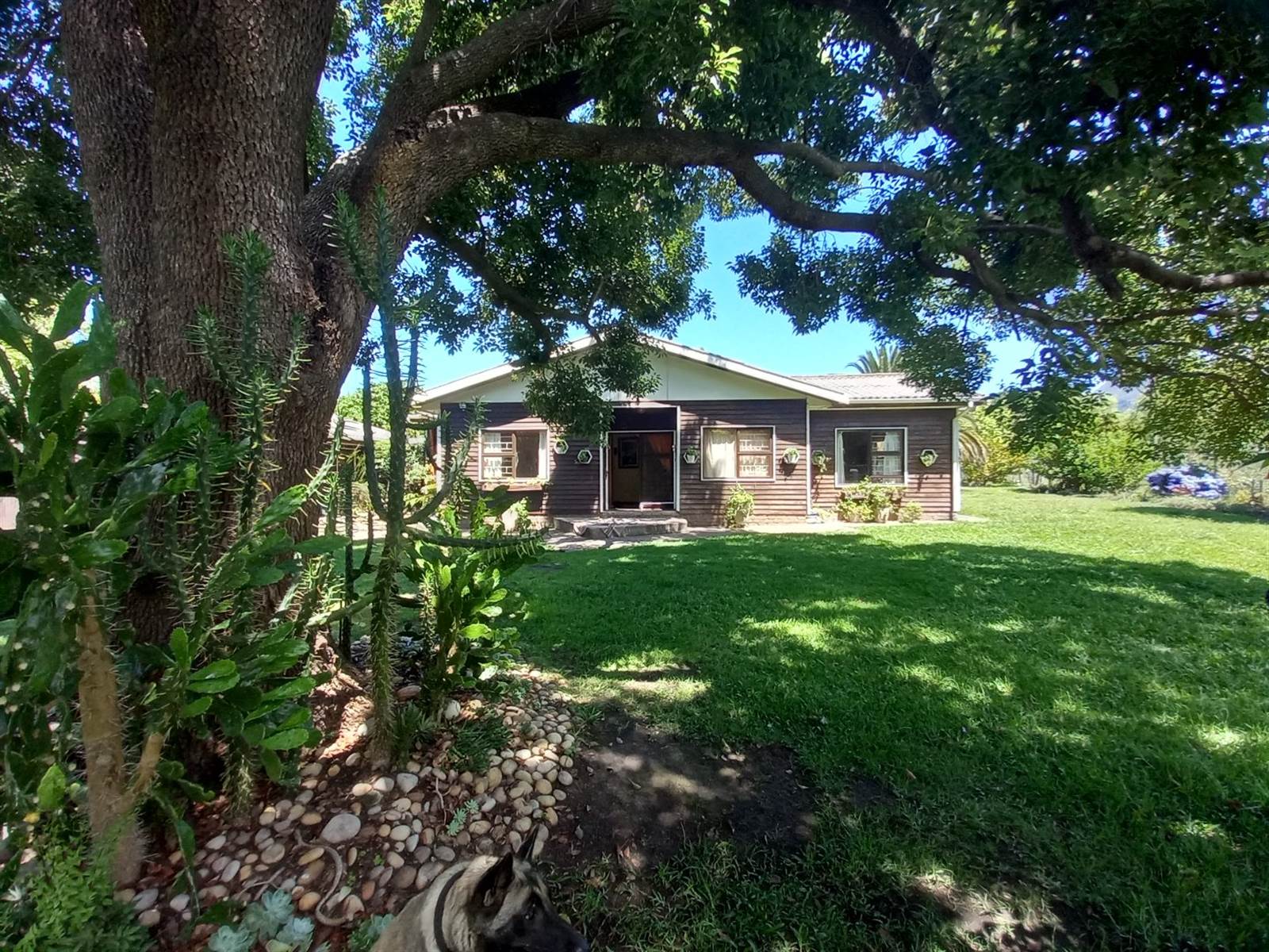 4 Bed House in Stormsrivier photo number 5