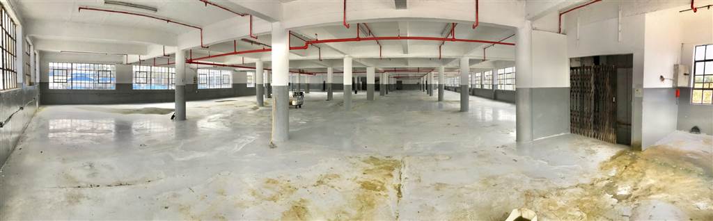 5600  m² Industrial space in Ophirton photo number 25