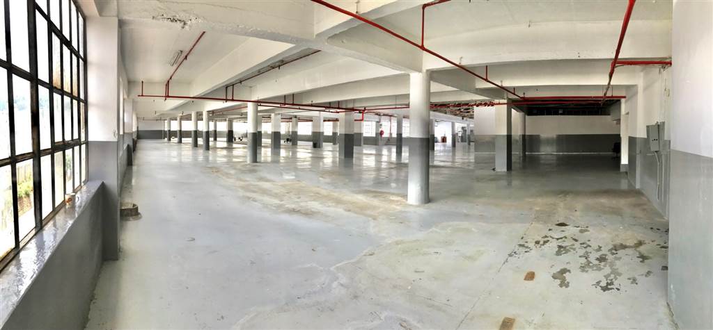 5600  m² Industrial space in Ophirton photo number 24
