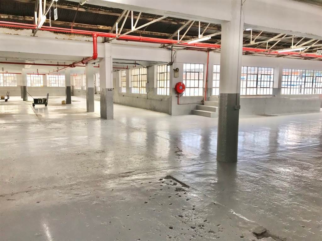 5600  m² Industrial space in Ophirton photo number 3