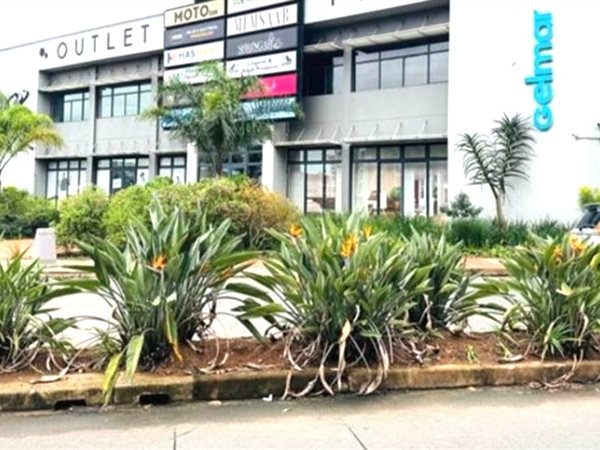 234 m² Retail Space 234 m² Retail Space