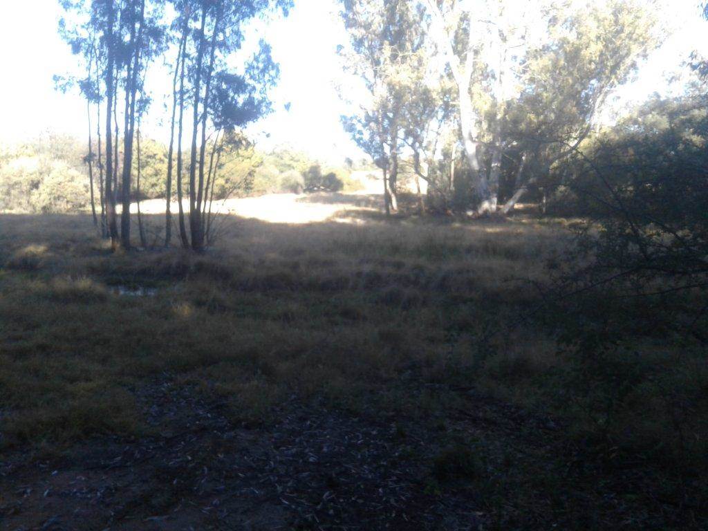 39 ha Land available in Bloemfontein Rural photo number 11