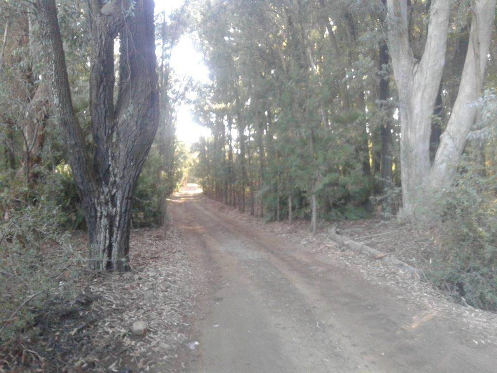 39 ha Land available in Bloemfontein Rural photo number 3