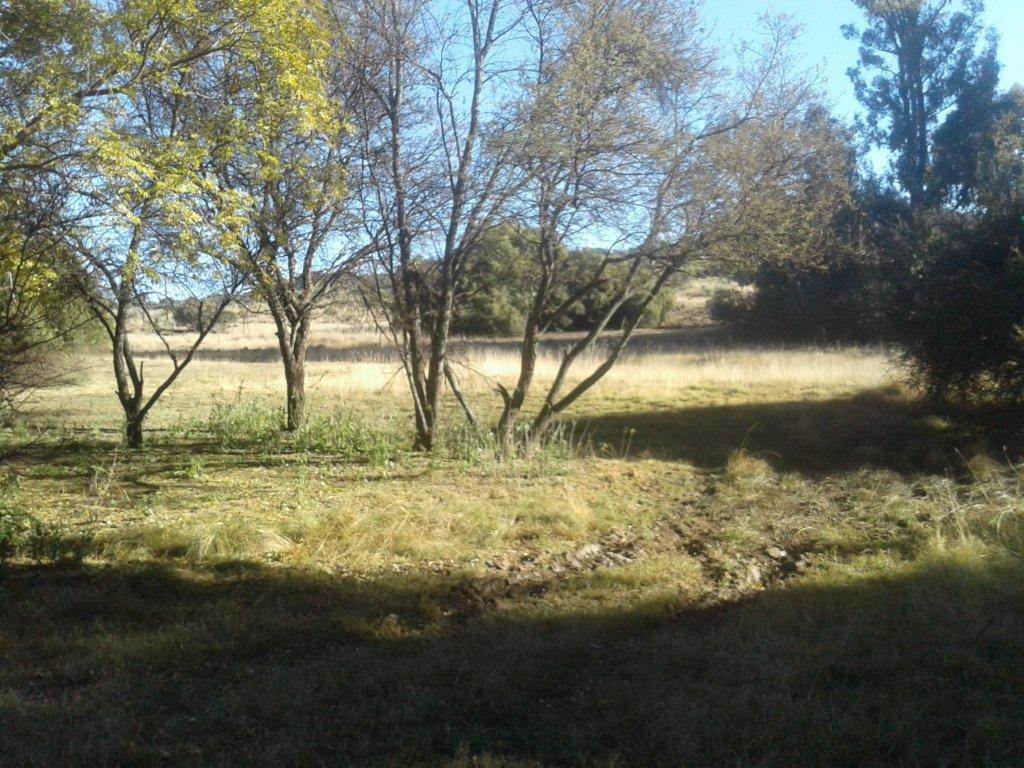 39 ha Land available in Bloemfontein Rural photo number 2
