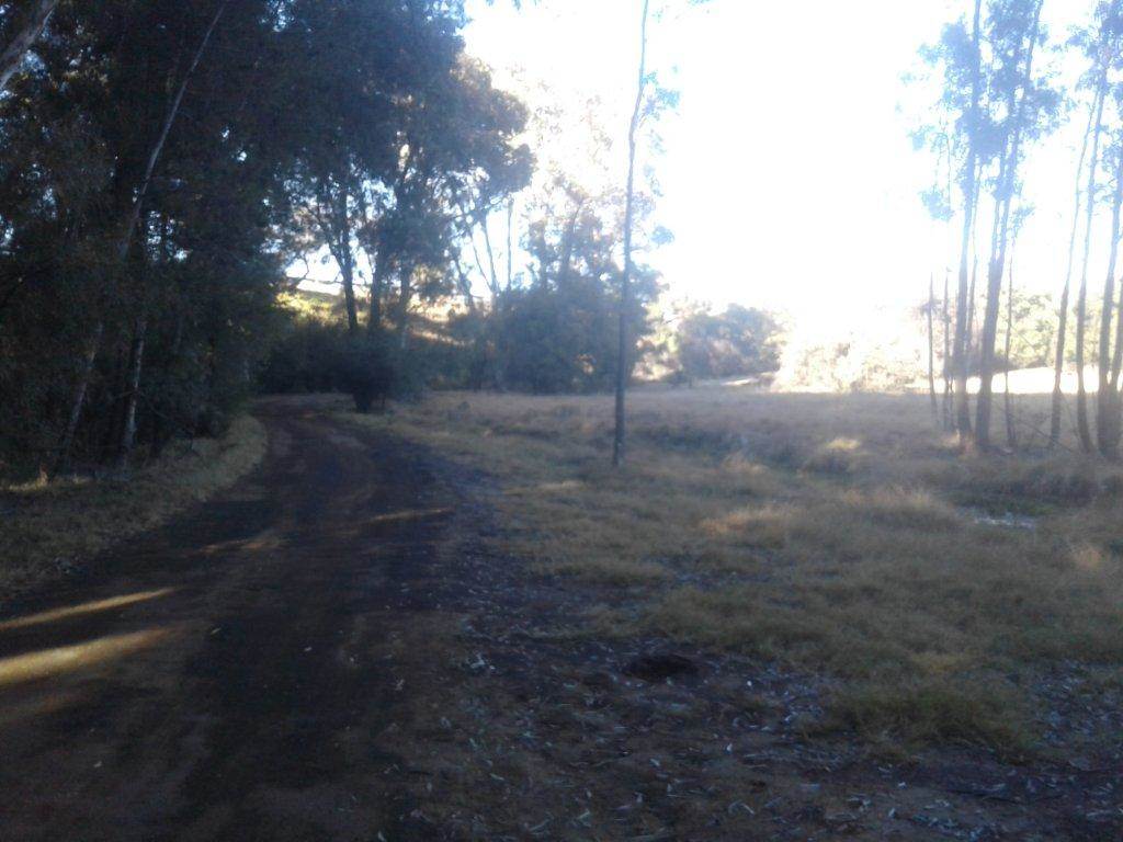 39 ha Land available in Bloemfontein Rural photo number 12